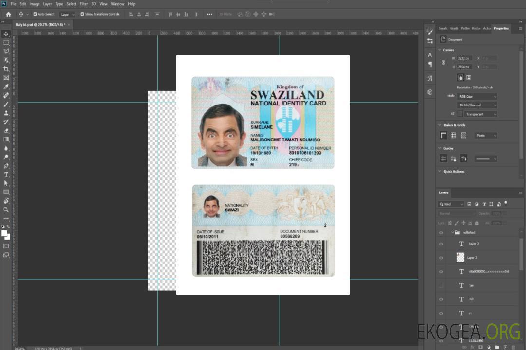 Carte d'identité nationale du Swaziland template